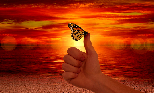 Catch Your Dreams with the Use of Mysticism a hand with a butterfly sitting on the thumb in front of a vibrant sky